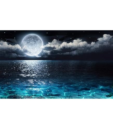 【美品安値】大人の惑星パズル 地球 月 冥王星 ソラノカケラ Amazon | 大人の惑星パズル 地球 月 冥王星 ソラノカケラ